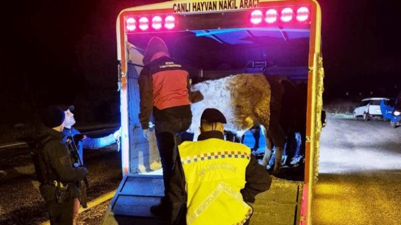  Simav’da hayvan hareketlerine yönelik yol kontrolü