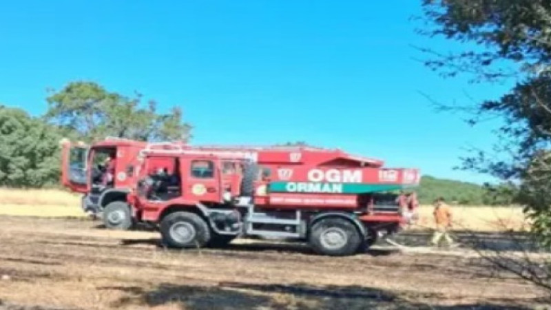 Tarlada çıkan yangında 5 dekar alan zarar gördü