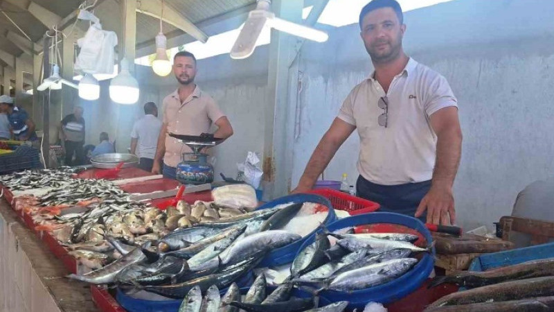 Hisarcık’ta vatandaşların en çok tercih ettiği balık türü palamut oldu