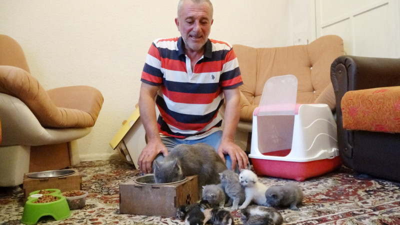 Çöpe bırakılan 5 yavru kediye annelik yapıyor