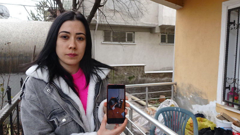 Kayıp kediyi sahibi ve arkadaş kedi 3 gündür arıyor  