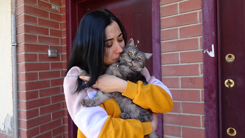  Tavşanlı ilçesinde kayıp olarak aranan kedi 10 gün sonra bulundu