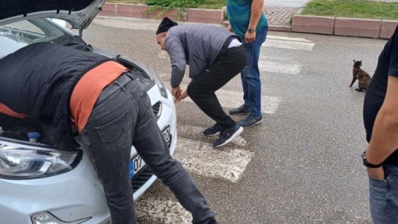 Kedi Motor Kısmından Sağ Kurtarıldı