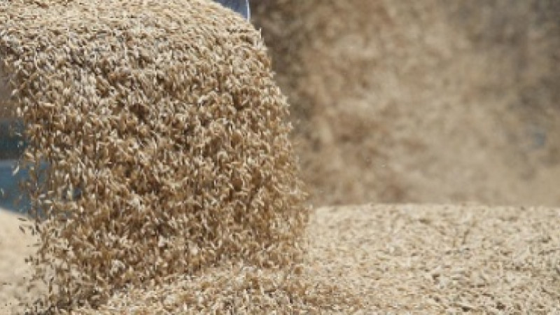 Boynundaki tülbendi harman makinesine kaptırdı