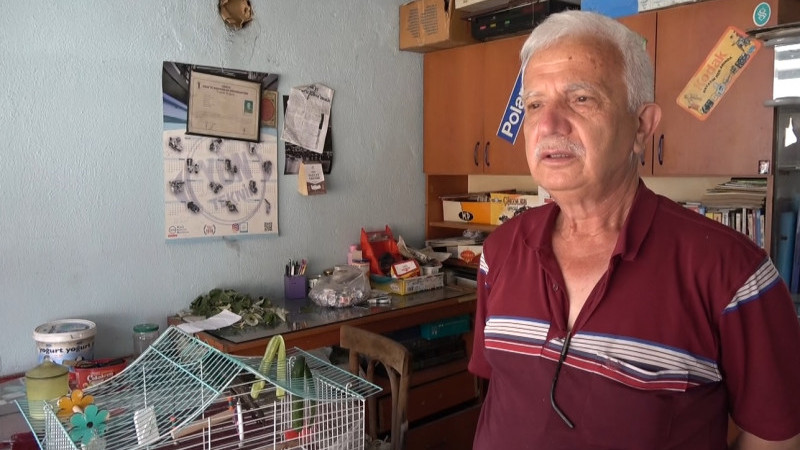 Ebabil kuşunu kedinin ağzından aldı