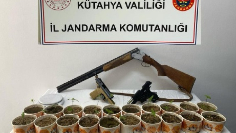 Jandarmadan kenevir operasyonu