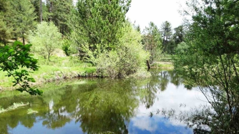 Hisarcık’ta doğal gölette büyüleyici bahar manzarası