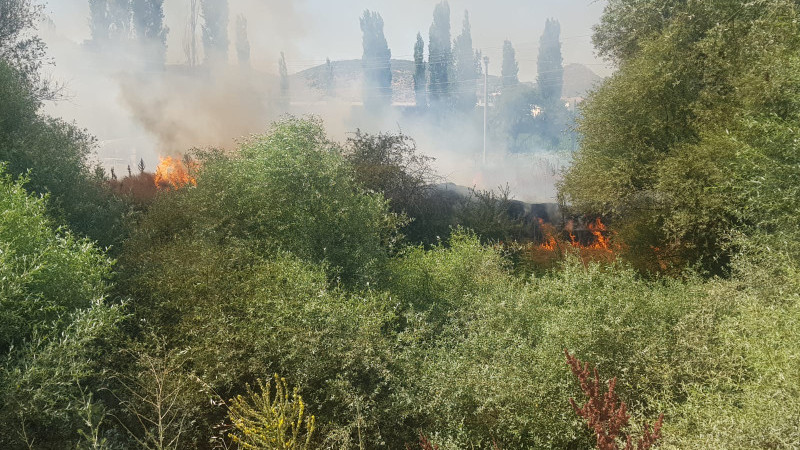 Yangın çiftlik evine ulaştı 
