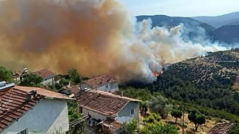 Söndürülen Orman Yangını Yeniden Başladı, Demiryolu Hattı Risk Altında