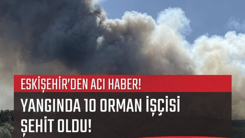 10 Orman işçisi yangın nedeniyle şehit oldu