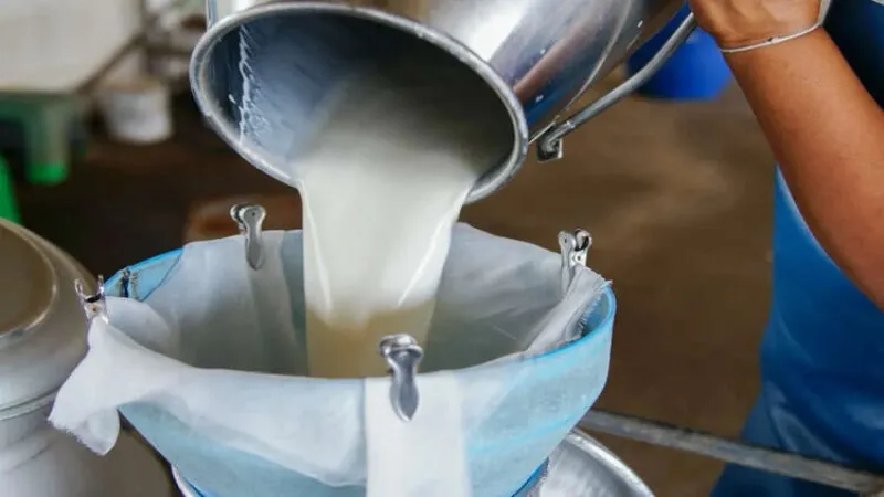Mayıs'ta süt üretimi azaldı... Süt ürünleri üretimi arttı