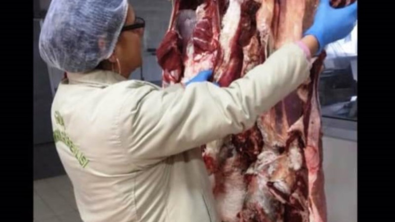 Kütahya’da 7 ayda 5 bin 553 gıda denetimi yapıldı