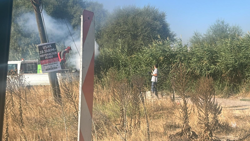 Tavşanlı Belediyesi Sivrisinekle Mücadelede Yoğun Çalışmalarına Devam Ediyor