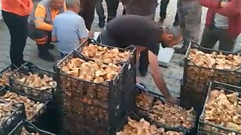 Melki pazarı oluştu