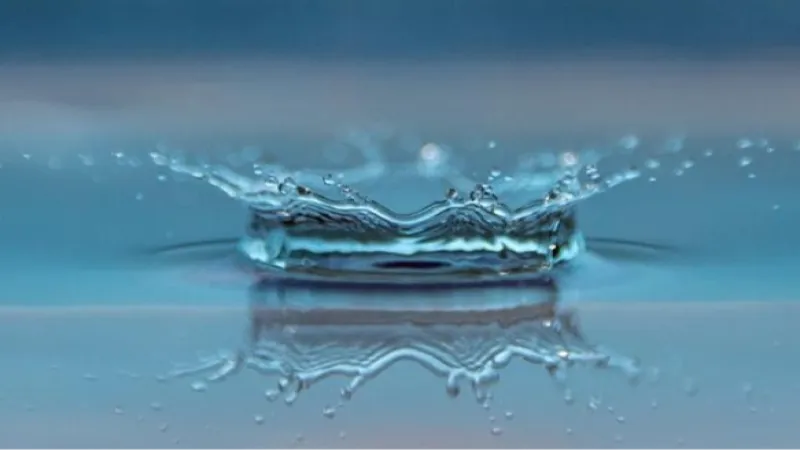 Türkiye, Su Forumu'na ev sahipliğine hazırlanıyor