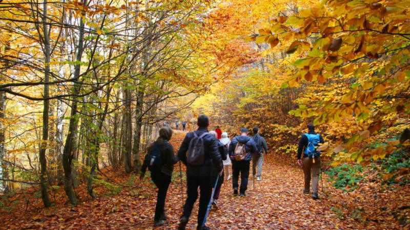 TADOS Üyeleri 'Doğayı Koruyun' çağrısıyla yürüdü
