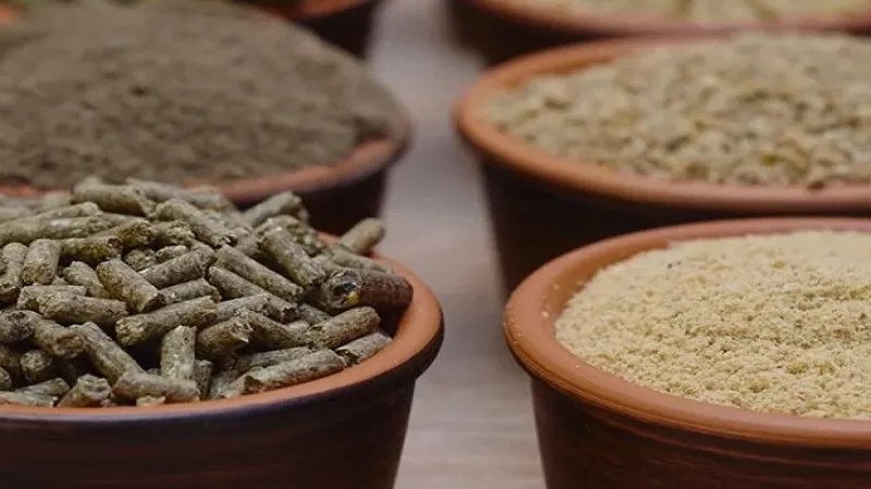 Yem Yönetmeliği'nde değişiklik 'Resmi'leşti... Gıdadan yeme büyük dönüşüm!