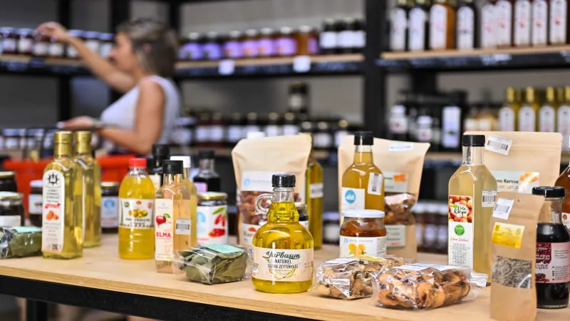 Kadınlar 3,5 milyon lira kazandı