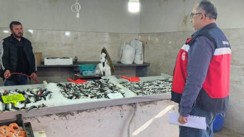 Emet’te balıkçılara yönelik denetim yapıldı