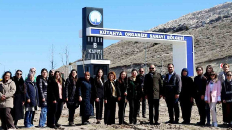 Osb ‘de fidan dikimi