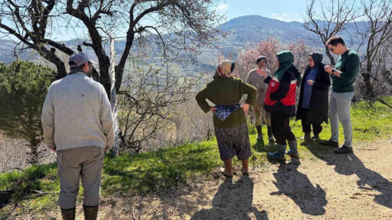 Simav ‘da zirai don uyarısı 