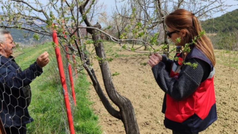 Don kontrolleri olumlu sonuçlandı 