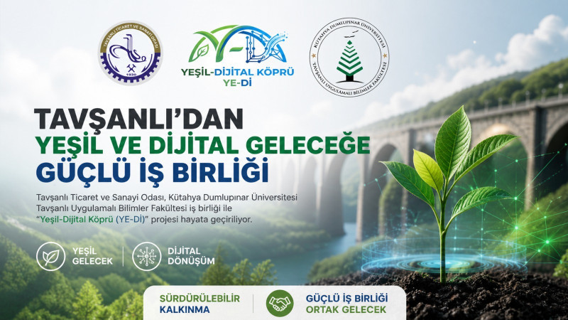 Dev İşbirliği 