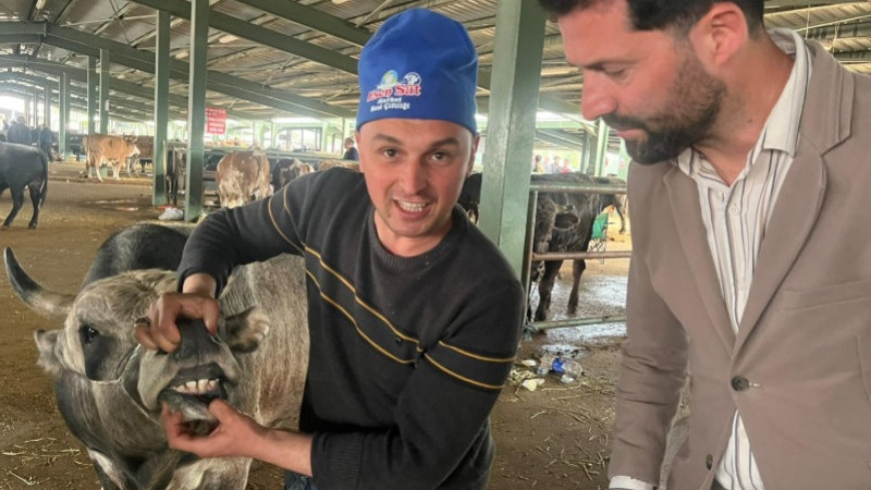 Hayvan pazarında son  gün hareketliliği 