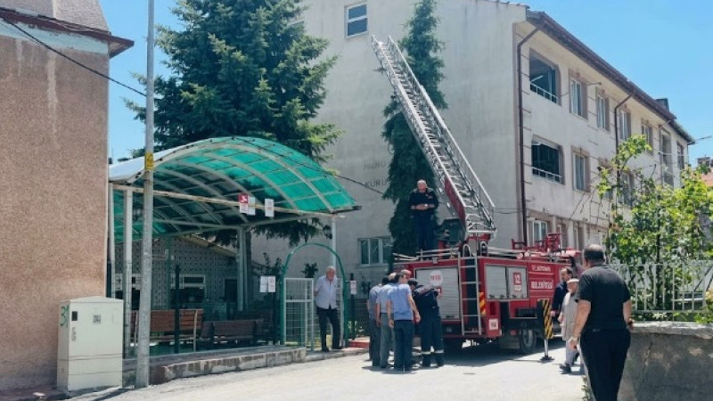 Kütahya’da ağaca takılan serçe itfaiye ekiplerince kurtarıldı