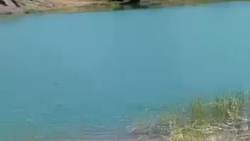 Vatandaşı çileden çıkarıyor