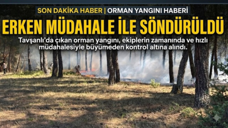 Tavşanlı'da orman yangını erken müdahale ile söndürüldü