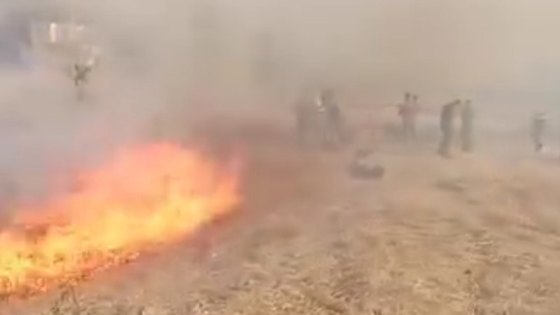 Çardaklı mahallesi yangını