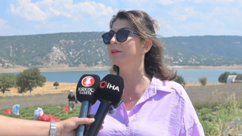 Kütahya’da 5 yıllık lavanta emeğinin hasadı kadınlara umut oldu