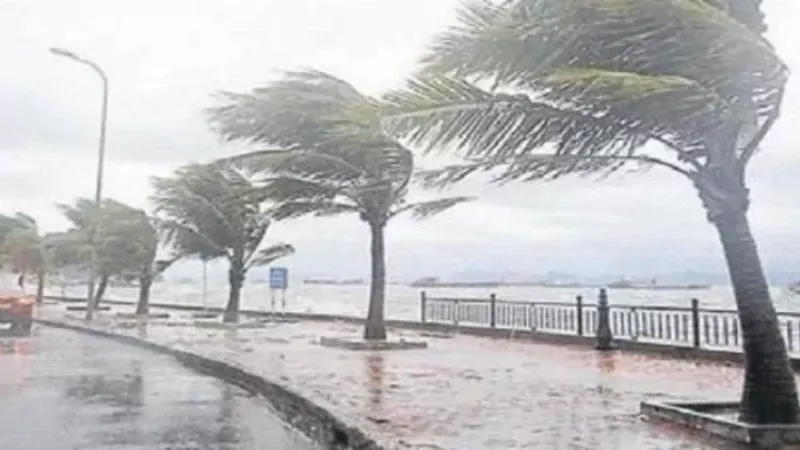Meteoroloji’den 3 kritik uyarı! İstanbul, Ankara ve Karadeniz için kuvvetli yağış alarmı